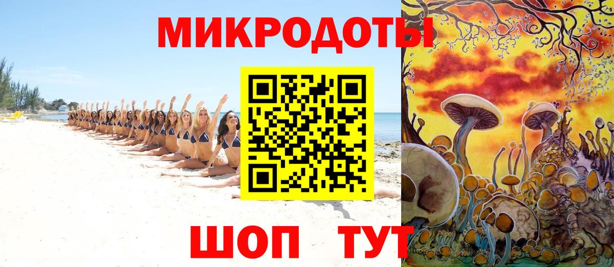 Галлюциногенные грибы Psilocybine cubensis Ачхой-Мартан
