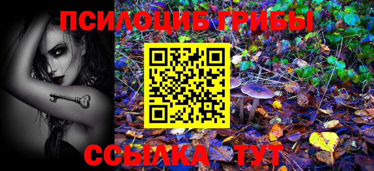 Ачхой-Мартан  Псилоцибиновые грибы мухоморы  Вход с VPN  Псилоцибиновые грибы прущие грибы 