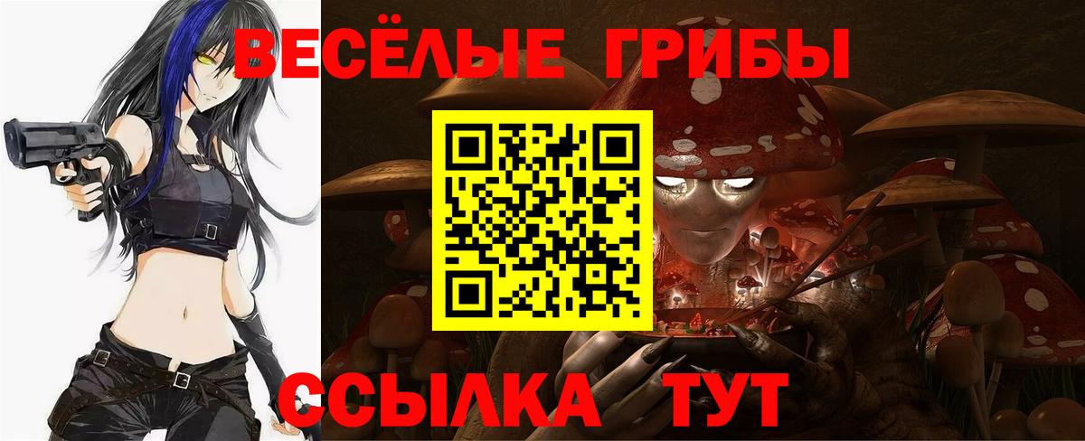 Псилоцибиновые грибы Psilocybine cubensis  Псилоцибиновые грибы Psilocybe  Ачхой-Мартан 